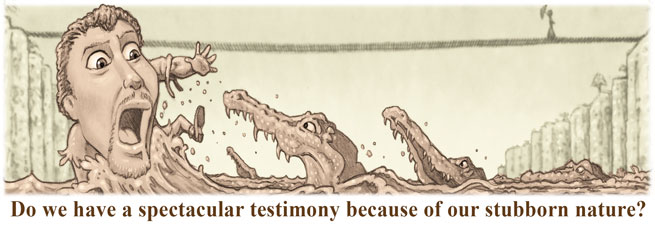 Christian Testimony and stubborn Nature